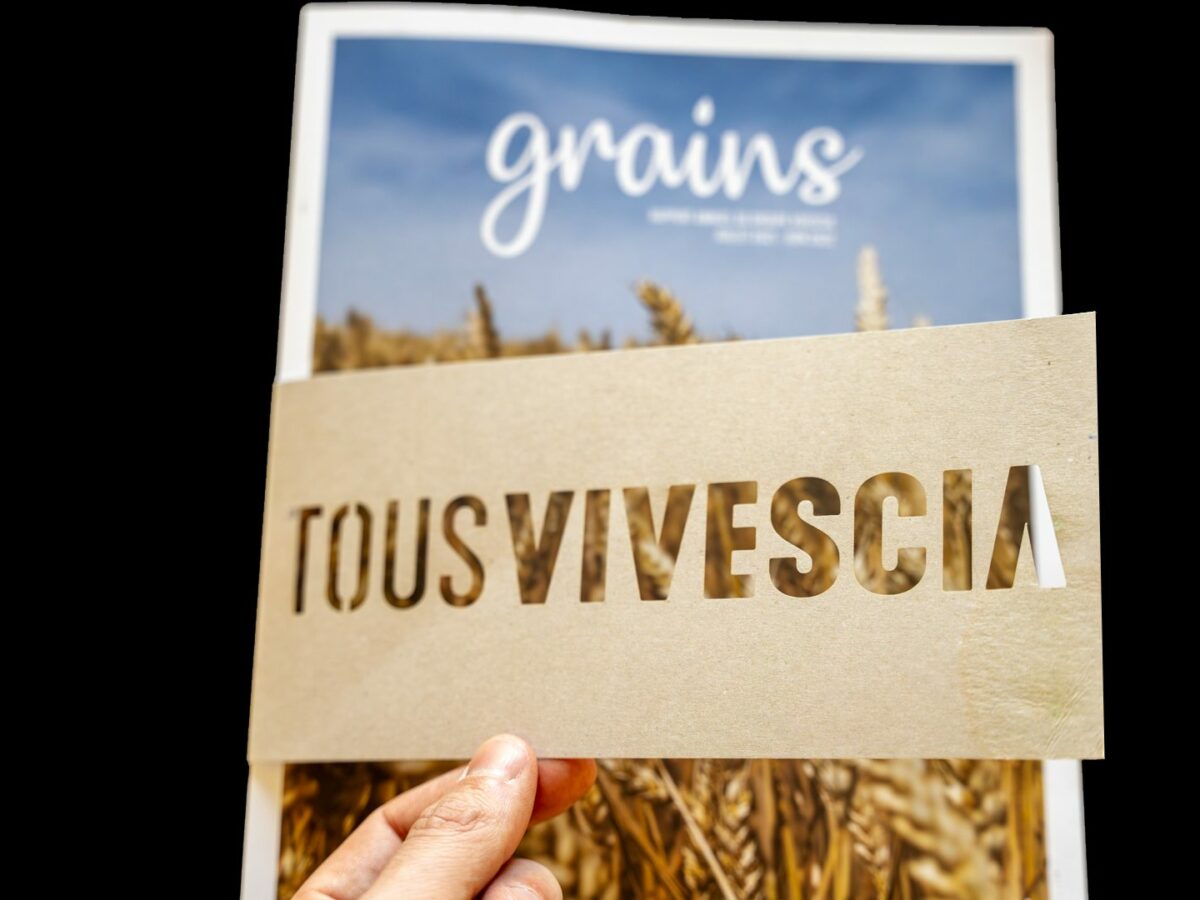 Rapport Tous Vivescia tenu à la main devant un champ de blé