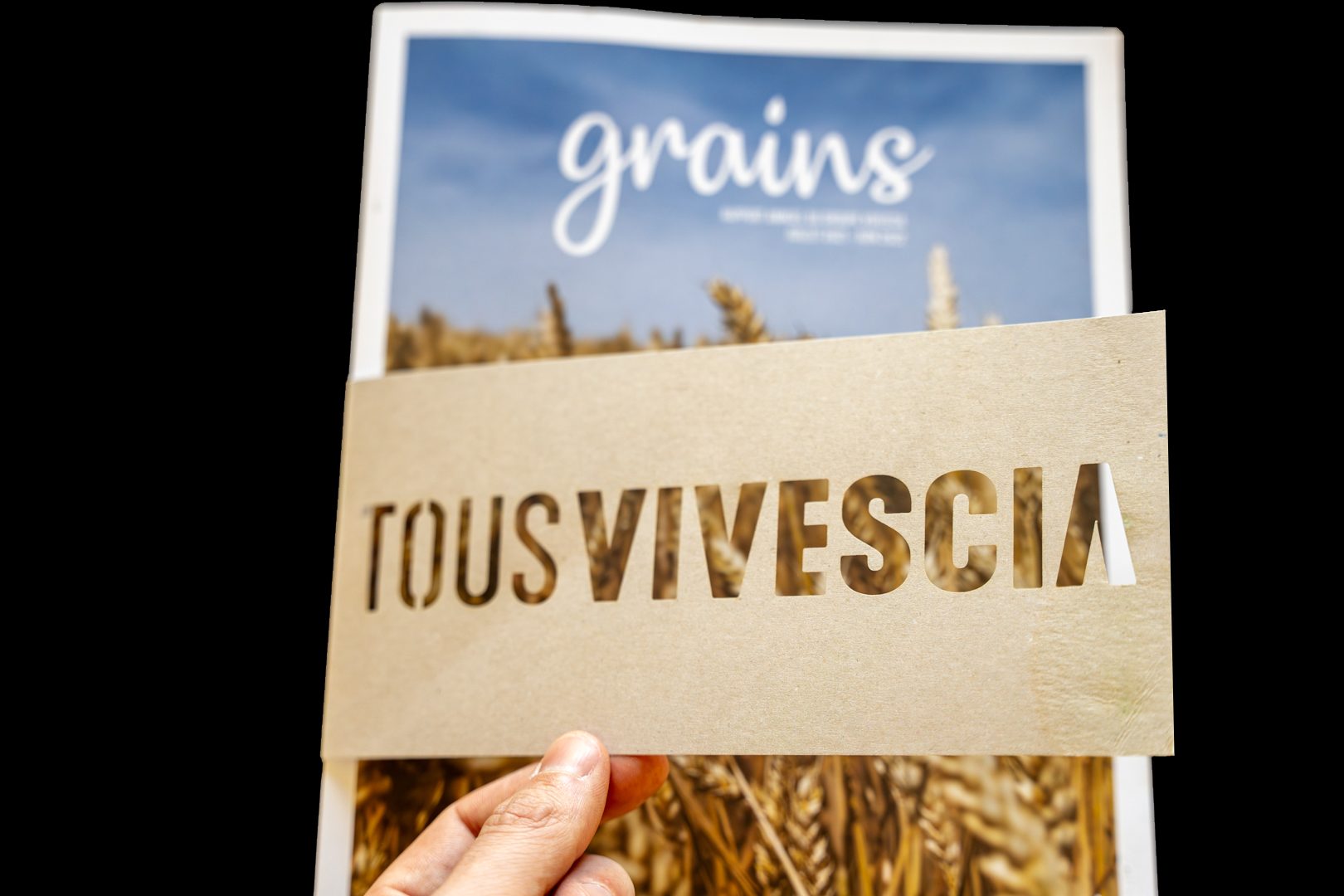 Rapport Tous Vivescia tenu à la main devant un champ de blé